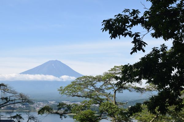 星のや富士からの富士山